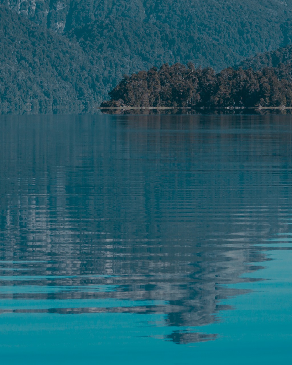 Uso eficiente de agua dulce en la industria salmonera