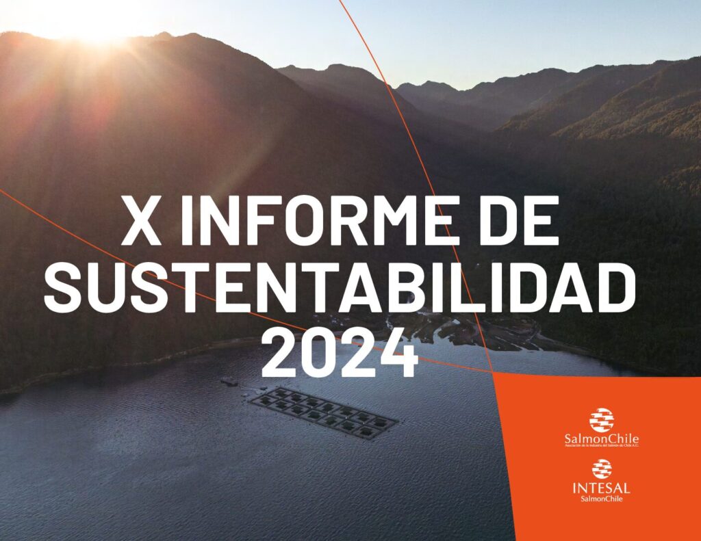 X Informe de Sustentabilidad 2024