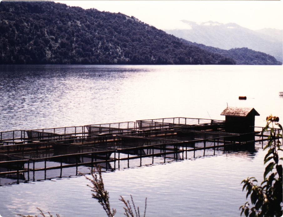 La instalación al sur del mundo