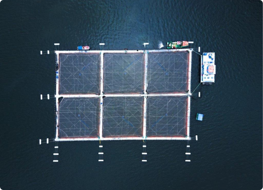 Un nuevo ciclo: liderar desde el sur con innovación y sostenibilidad 