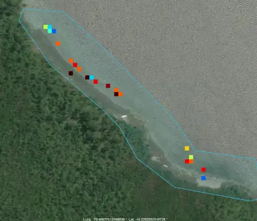 SalmonChile gestionará limpieza de playas a través de fotos satelitales e inteligencia artificial