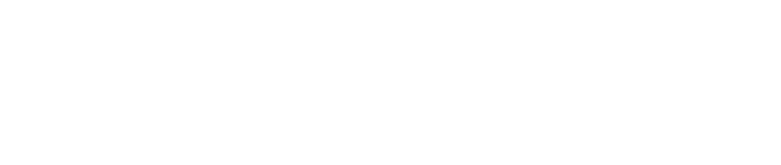 SalmonChile
